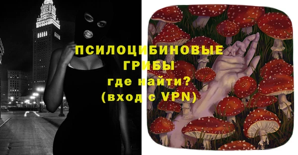 гашик Новодвинск