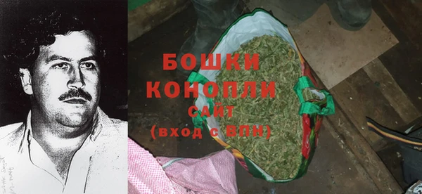 гашик Новодвинск