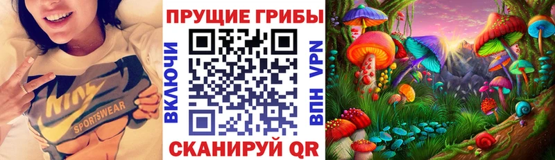 Псилоцибиновые грибы Cubensis  OMG ссылки  Тутаев 